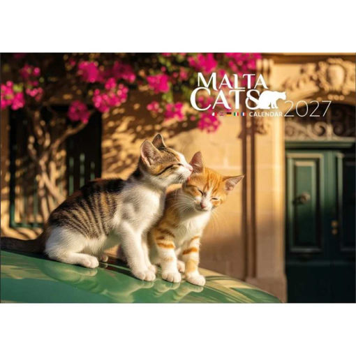 Picture of MALTA & GOZO A4 2027 CALENDAR CATS OF MALTA